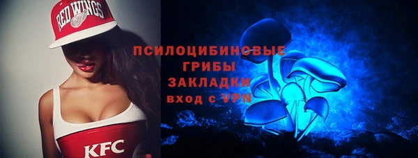 спайс Алексин