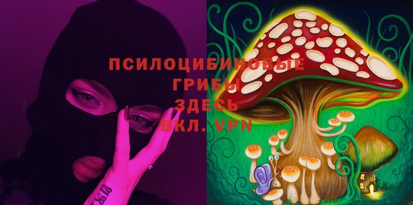крисы Алексеевка