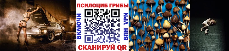 Псилоцибиновые грибы Psilocybine cubensis  хочу наркоту  Наволоки 